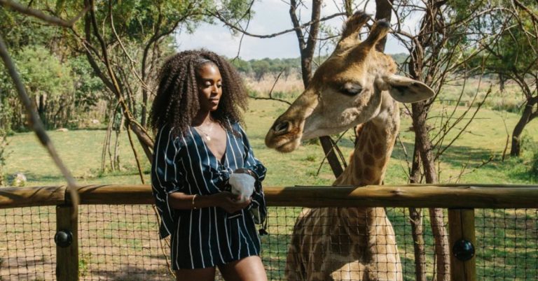 Beyond the Room: Your Curated Guide to Johannesburg’s Premier Attractions
